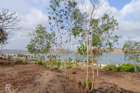 9900m2 Land in Indonesia No. 7872 12