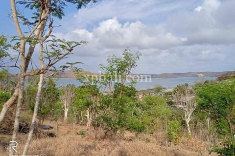 9900m2 Land in Indonesia No. 7872 10