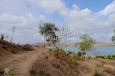 9900m2 Land in Indonesia No. 7872 11