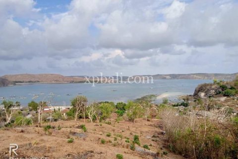 9900m2 Land in Indonesia No. 7872