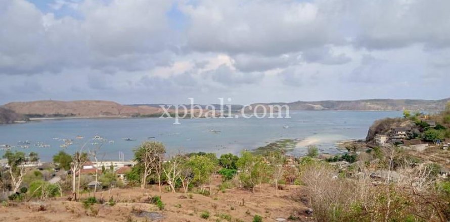9900m2 Land in Indonesia No. 7872