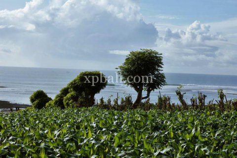 33584m2 Land in Sumbawa, Indonesia No. 364 2