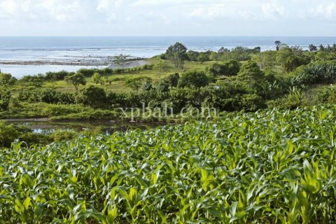 33584m2 Land in Sumbawa, Indonesia No. 364 4