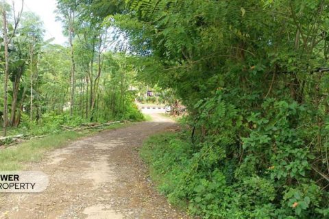 1567m2 Land in Central Lombok, Indonesia No. 9621 3