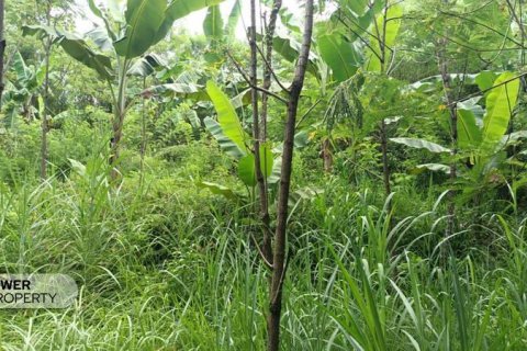 1567m2 Land in Central Lombok, Indonesia No. 9621 5
