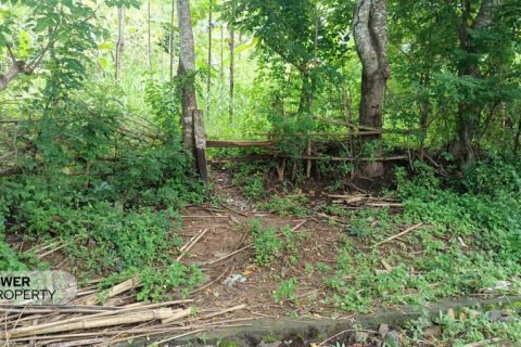 1567m2 Land in Central Lombok, Indonesia No. 9621 9