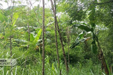 1567m2 Land in Central Lombok, Indonesia No. 9621 10
