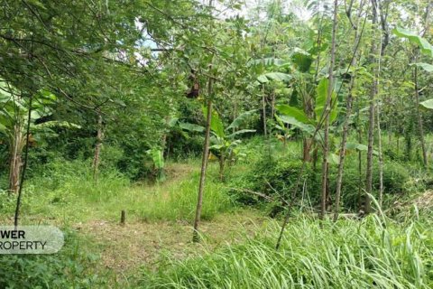 1567m2 Land in Central Lombok, Indonesia No. 9621 4