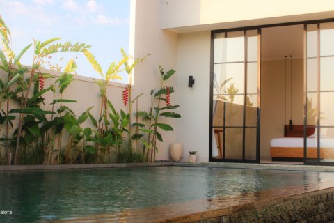 2 bedrooms Villa in Buleleng, Indonesia No. 11163 8