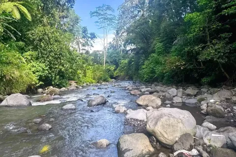 Land in Sidemen, Karang Asem, Indonesia No. 10773 13