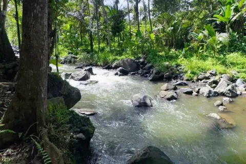 Land in Sidemen, Karang Asem, Indonesia No. 10773 12