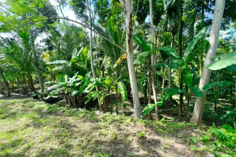 Land in Sidemen, Karang Asem, Indonesia No. 10773 8