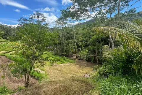Land in Sidemen, Karang Asem, Indonesia No. 10773 2