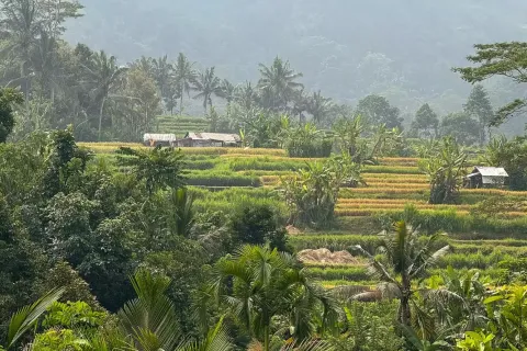 Land in Sidemen, Karang Asem, Indonesia No. 10773 3