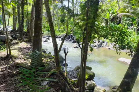 Land in Sidemen, Karang Asem, Indonesia No. 10773 11