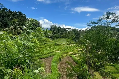 Land in Sidemen, Karang Asem, Indonesia No. 10773 5
