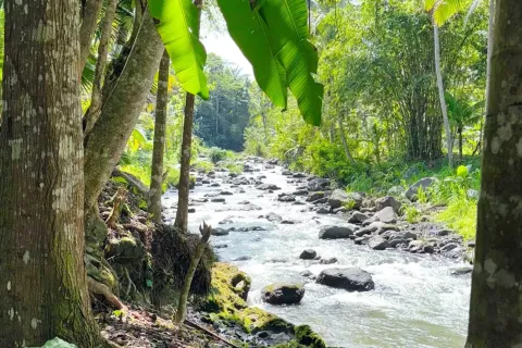 Land in Sidemen, Karang Asem, Indonesia No. 10773 9