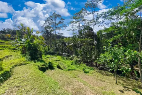Land in Sidemen, Karang Asem, Indonesia No. 10773 7