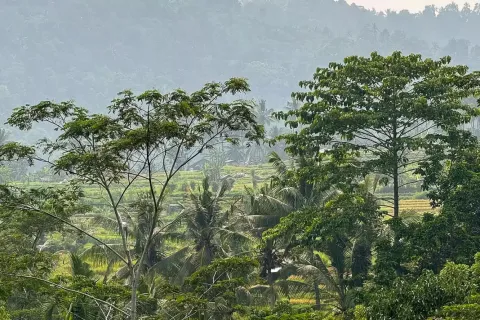 Land in Sidemen, Karang Asem, Indonesia No. 10773 4