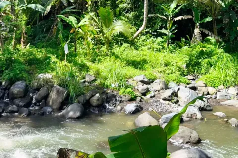 Land in Sidemen, Karang Asem, Indonesia No. 10773 10