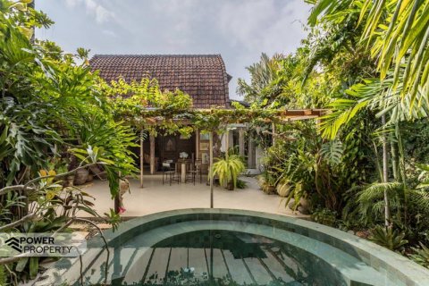 2 bedrooms Villa in Seminyak, Badung, Indonesia No. 8944