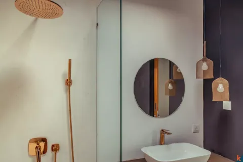 1 bedroom Villa in Canggu, Badung, Indonesia No. 10134 19
