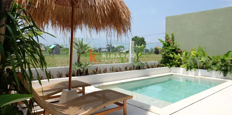 2 bedrooms Villa in Pererenan, Mengwi, Badung, Indonesia No. 12431