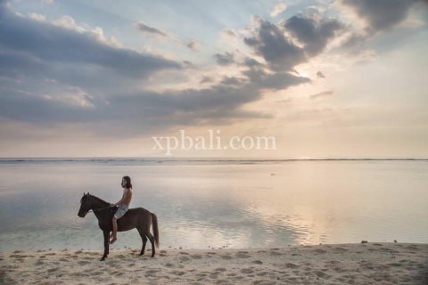 9 bedrooms Villa in Gili Trawangan, Gili Indah, North Lombok, Indonesia No. 7855 19