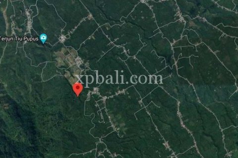 44525m2 Land in Indonesia No. 7859 2