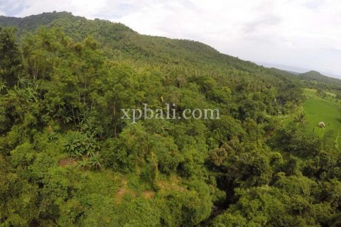 44525m2 Land in Indonesia No. 7859 8