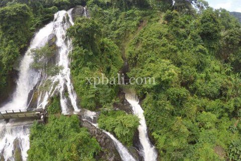 44525m2 Land in Indonesia No. 7859 6