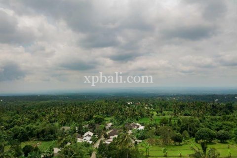 26543m2 Land in Indonesia No. 7856 13
