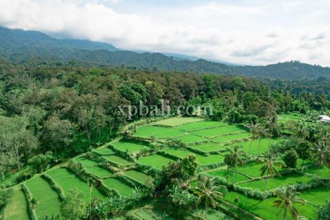 26543m2 Land in Indonesia No. 7856 23