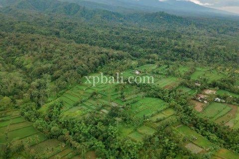 26543m2 Land in Indonesia No. 7856 10