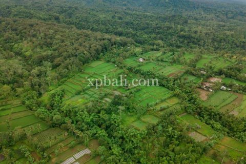 26543m2 Land in Indonesia No. 7856 11