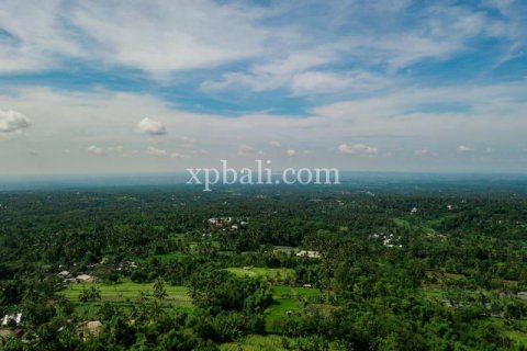 26543m2 Land in Indonesia No. 7856 3