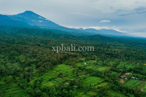 26543m2 Land in Indonesia No. 7856 9