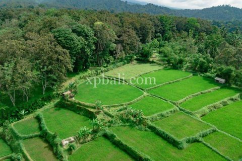 26543m2 Land in Indonesia No. 7856 22