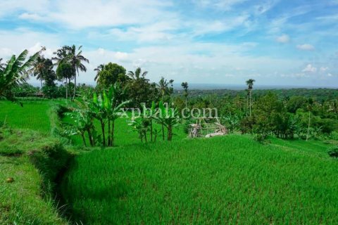 26543m2 Land in Indonesia No. 7856 18