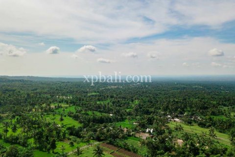26543m2 Land in Indonesia No. 7856 5