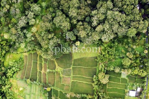26543m2 Land in Indonesia No. 7856 24