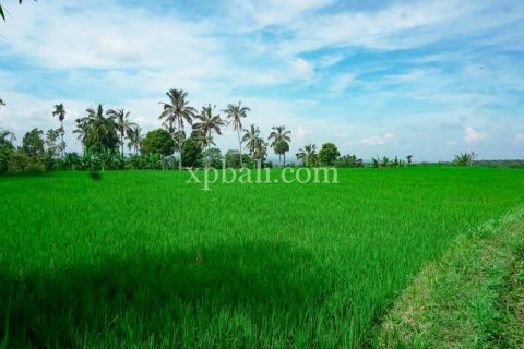 26543m2 Land in Indonesia No. 7856 16