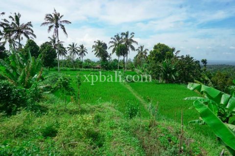 26543m2 Land in Indonesia No. 7856 17