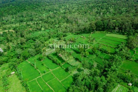 26543m2 Land in Indonesia No. 7856 19