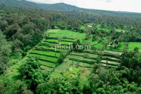26543m2 Land in Indonesia No. 7856 20