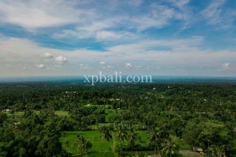 26543m2 Land in Indonesia No. 7856 8