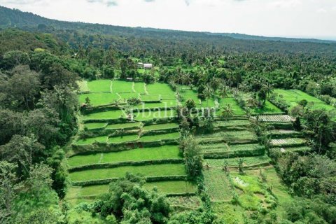 26543m2 Land in Indonesia No. 7856 21