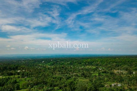 26543m2 Land in Indonesia No. 7856