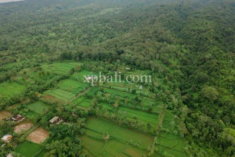 26543m2 Land in Indonesia No. 7856 12