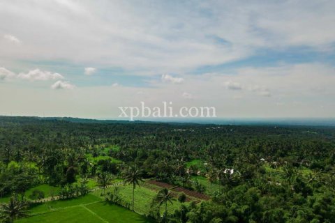 26543m2 Land in Indonesia No. 7856 2
